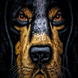 Meet your Posher, Dale